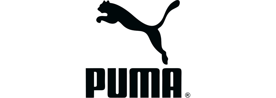 Puma Technology