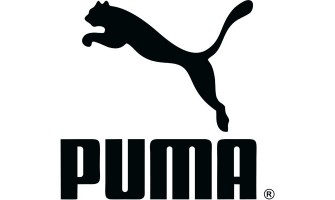 Puma Technology