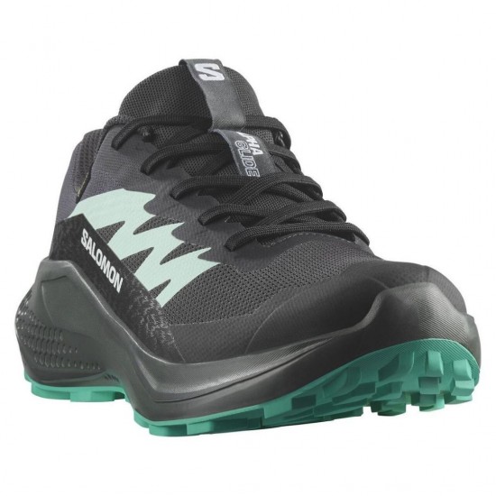 SALOMON W ALPHAGLIDE GTX 478024 ΓΚΡΙ