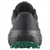 SALOMON W ALPHAGLIDE GTX 478024 ΓΚΡΙ