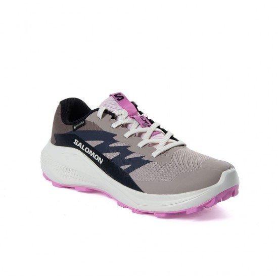 SALOMON W ALPHAGLIDE GTX 478579 ΓΚΡΙ ΡΟΖ