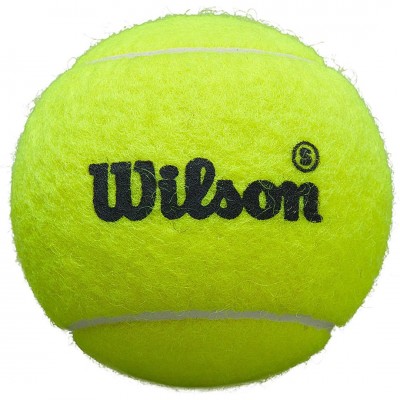 WILSON PREMIER SPEED PADEL BALLS X 3  WR8908501