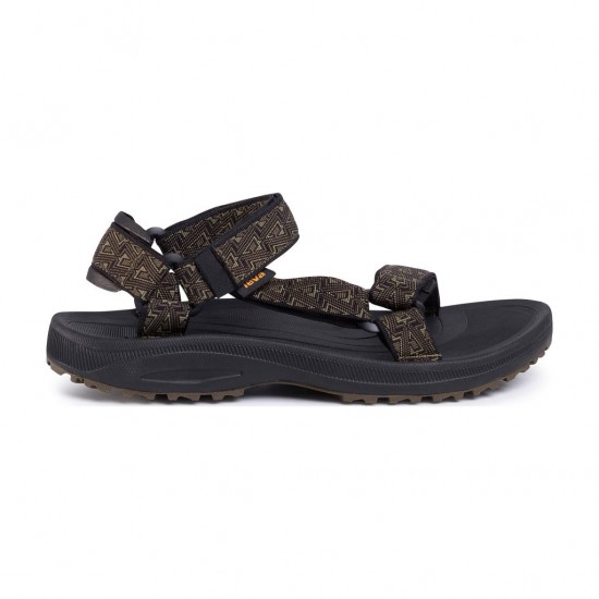 TEVA WINSTED 1017419 BDOLV