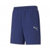 PUMA EVOSTRIPE SHORTS 8 585815-12