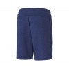 PUMA EVOSTRIPE SHORTS 8 585815-12